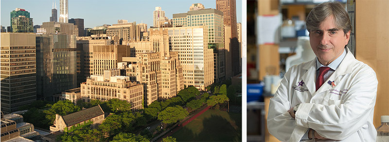 an aerial photo of the Northwestern University Chicago campus, plus a portrait of the Director of the Lurie Cancer Center, Leonidas Platanias.