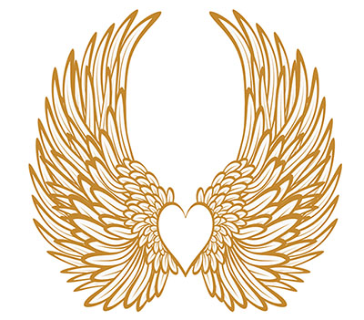 picture of wings