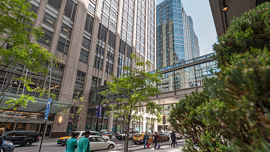 Galter & Feinberg Pavilions