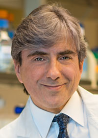 Leonidas Platanias, MD, PhD