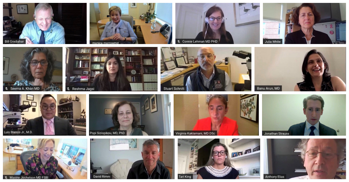Collage of screenshots from the virtual 2020 Lynn Sage Breast Cancer Symposium