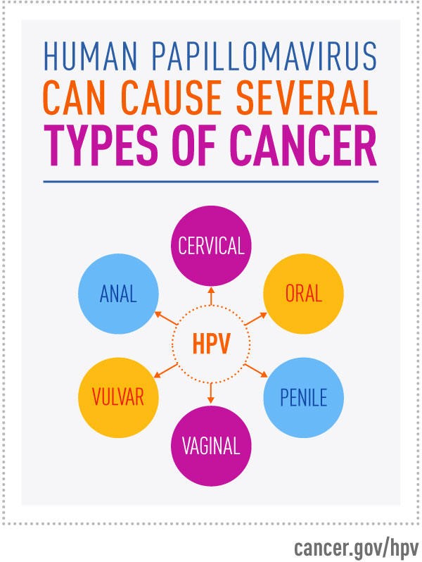 Graphic reading: Human Papillomavirus (HPV) can cause several types of cancer: cervical, oral, penile, vaginal, vulvar, anal