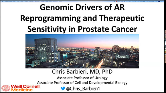 Genomic Drivers of AR Reprogramming and Therapeutic Sensitivity in Prostate Cancer