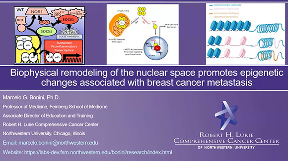 NIH Redox Biology SIG Seminar