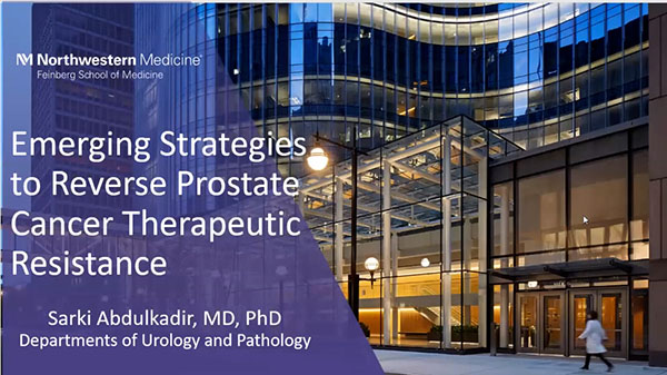 Emerging Strategies to Reverse Prostate Cancer  Therapeutic Resistance