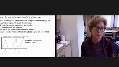  Annual Chung Lee Lecture: Modeling Mechanisms of Therapeutic Response and Resistance
