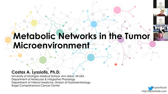 Metabolic Networks in the Tumor Microenvironment
