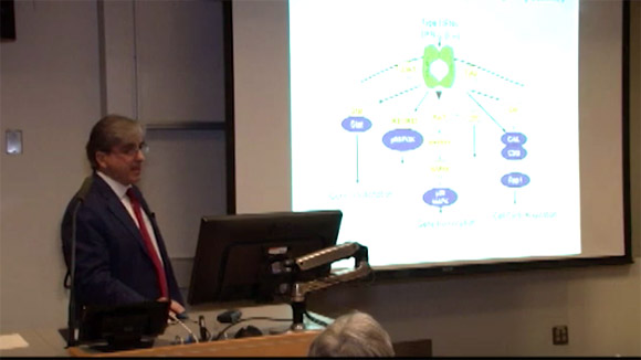 Interferon Signaling in Malignancies: Intracellular Immune Checkpoints as Novel Therapeutic Targets