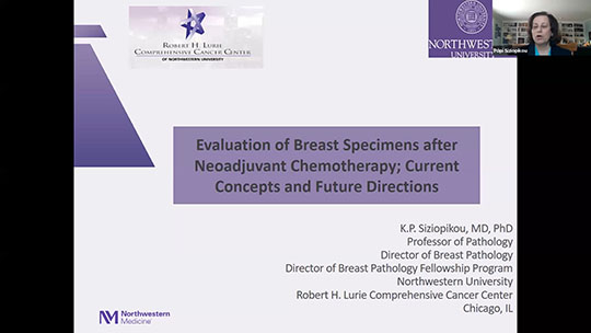 Evaluation of Breast Specimens after Neoadjuvant Chemotherapy