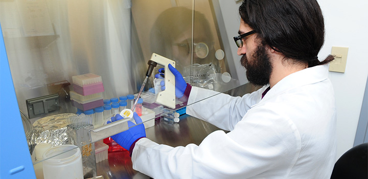 Researcher at work