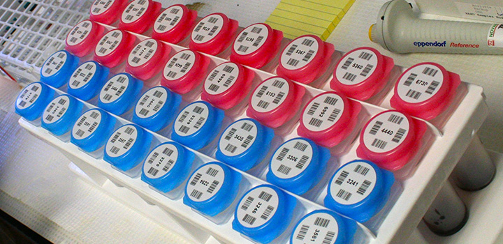 research samples in lab
