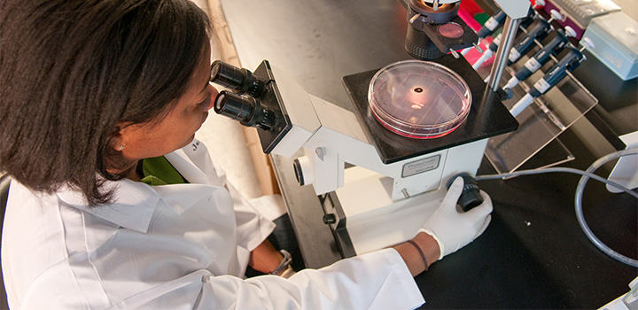 Researcher using a microscope