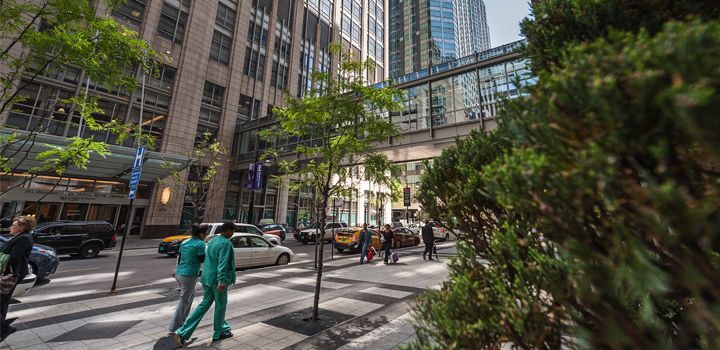 Chicago campus photo