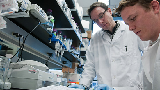 Researchers in the lab